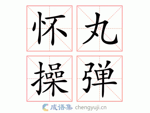 怀丸操弹图片