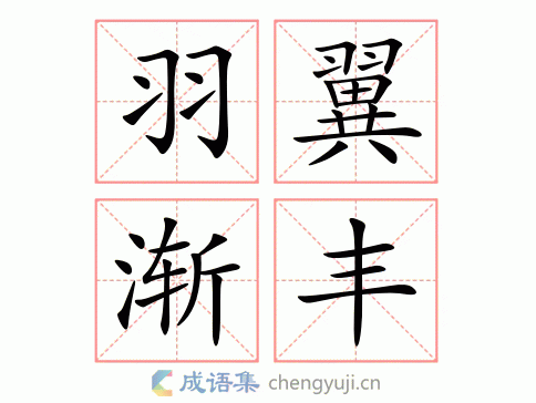 羽翼渐丰图片